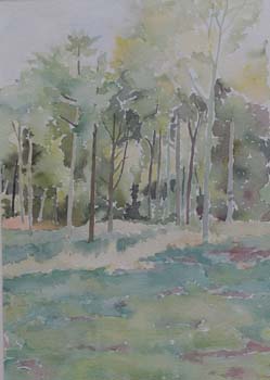 100 Acre Wood, Hants