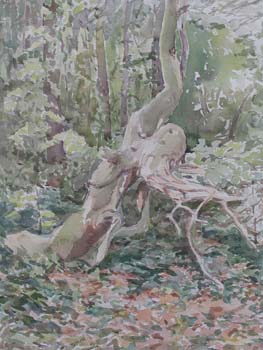 rotting log