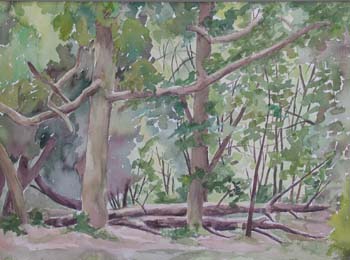 twin trees