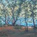 blue pool 6