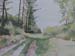 the track