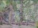 twin trees